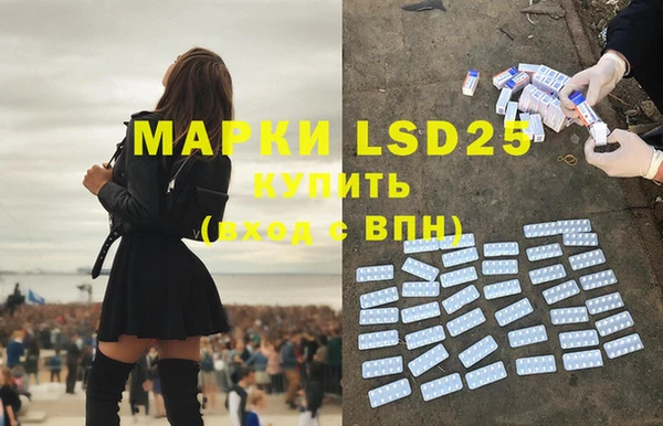 винт Новозыбков